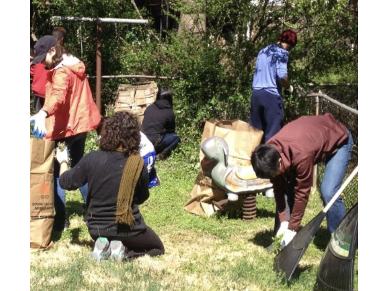 Screen Shot 2026-01-27 at 9.53.02 AM.png - Backyard Refresh for Seniors image